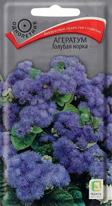 Агератум_Голубая норка_0,1_г._Поиск