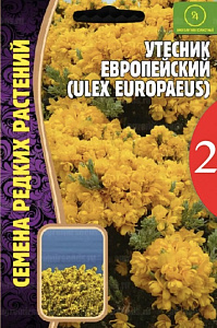 Утесник_Европейский б/ф_30_шт._Григорьев