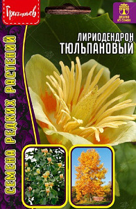 Лириодендрон_Тюльпановый б/ф_5_шт._Григорьев
