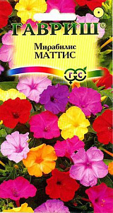 Мирабилис_Маттис см_1_г._Гавриш