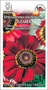 Хризантема_Пламя килеватая_0,1_г._Золотая Сотка Алтая
