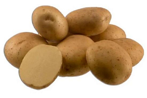 Санте (сетка 5 кг) кг