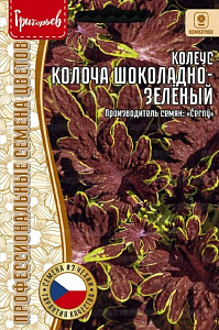 Колеус_Колоча Шоколадно-Зелёный б/ф_4_шт._Григорьев