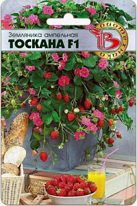 Земляника_Тоскана F1 (кл ампел)_0,04_шт._Биотехника