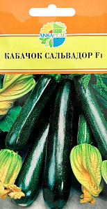 Кабачок_Сальвадор F1_5_шт._Акварель