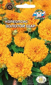 Кореопсис_Золотой Шар_0_г._Седек