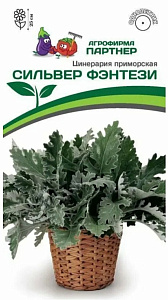 Цинерария_Сильвер Фэнтези (приморская)_15_шт._Партнер