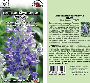 Сальвия_Страта (синяя мучнистая)_10_шт._Золотая Сотка Алтая