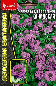 Вербена_Канадская б/ф_0,05_г._Григорьев