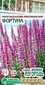 Лофант (многоколосник, мята мексиканская)_Фортуна (Живая Изгородь)_0,04_г._ЕВРОСЕМЕНА