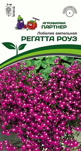 Лобелия_Регатта Роуз (амп)_10_шт._Партнер