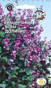 Бобы_Гиацинтовые (долихос) Доличис_1_г._Седек