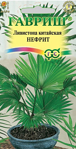 Пальма_Ливистона Нефрит_3_шт._Гавриш