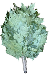 Веник дубовый КАНАДСКИЙ+ручка джут