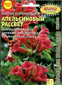 Кампсис_Апельсиновый рассвет_0,1_г._Аэлита Э