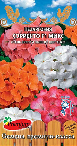 Герань (Пеларгония)_Сорренто F1 см_5_шт._Премиум Сидс