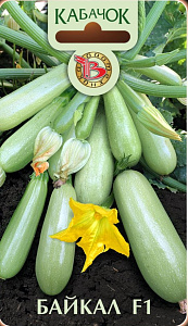 Кабачок_Байкал F1_5_шт._Биотехника