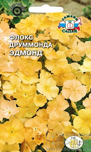 Флокс_Эдмонд (друммонда, крупноцветковый, кремово-желтый)_0,04_г._Седек