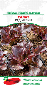 Салат_Ред Ирвин (кочан)_0,02_г._Премиум Сидс