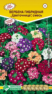 Вербена_Цветочница см (Цветочная Палитра)_0,04_шт._ЕВРОСЕМЕНА