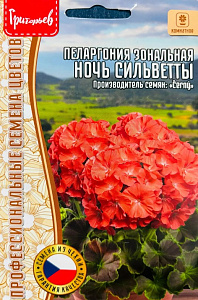 Герань (Пеларгония)_Ночь Сильветты F1 (зональная) б/ф_3_шт._Григорьев