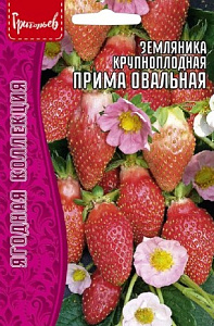 Земляника_Прима Овальная (крупноплодная) б/ф_20_шт._Григорьев