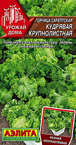 Горчица_Крупнолистная (кудрявая) (сарептская)_0,5_г._Аэлита