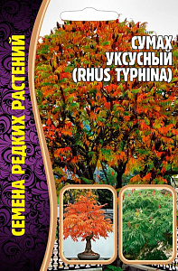 Сумах_Уксусный б/ф_20_шт._Григорьев