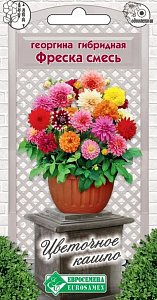 Георгин_Фреска см (Цветочное Кашпо)_7_шт._ЕВРОСЕМЕНА