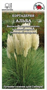 Кортадерия (Пампасная трава)_Альба (злак)_10_шт._Золотая Сотка Алтая