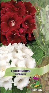 Глоксиния_Жозефина_5_шт._Поиск