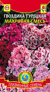 Гвоздика_Турецкая махр см  Б/П_0,2_г._Плазменные семена