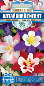 Аквилегия (водосбор)_Алтайский гигант см (Русский богатырь)_0,1_г._Гавриш