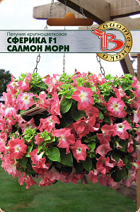 Петуния_Сферика F1 Салмон Морн_10_шт._Биотехника