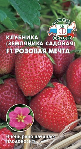 Земляника_Розовая мечта F1 (кл)_0_г._Седек