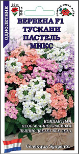 Вербена_Тускани Пастель микс_5_шт._Золотая Сотка Алтая