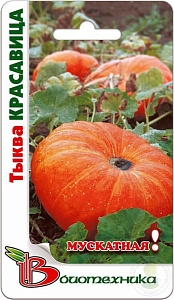 Тыква_Красавица (мускатная)_4_шт._Биотехника