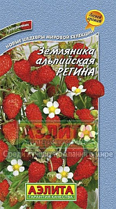 Земляника_Регина альпийская_0_г._Аэлита