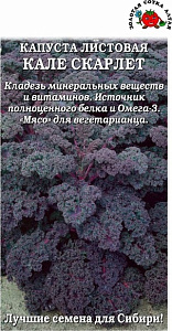 Капуста_листовая_Кале Скарлет (съедобная)_0,2_г._Золотая Сотка Алтая