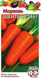 Морковь_Шантанэ 2461  Б/П_2_г._Гавриш