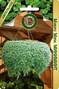 Мята_Микро Миниминт_5_шт._Биотехника