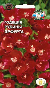 Годеция_Рубины Эрфурта (крупноцветковая, карминно-красная)_0,04_г._Седек