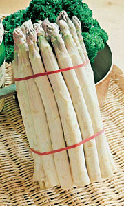 Спаржа_Аржентельская_10_шт._Уральский Дачник