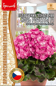 Герань (Пеларгония)_Ночь Розетты F1 (зональная) б/ф_3_шт._Григорьев