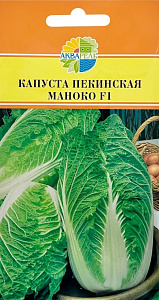 Капуста_пекинская_Маноко F1 (ран)_15_шт._Акварель