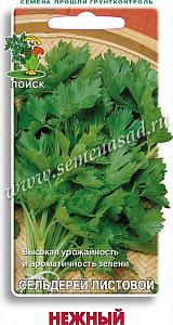 Сельдерей_Нежный (листовой)_0,5_г._Поиск