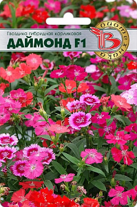 Гвоздика_Даймонд F1_8_шт._Биотехника