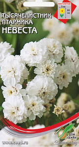 Ахиллея (тысячелистник)_Невеста (птармика)_0,04_шт._Дом Семян С-П