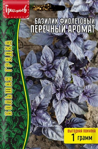Базилик_Перечный Аромат (фиолетовый) б/ф_1_г._Григорьев