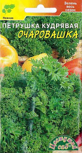 Петрушка_Очаровашка (кудрявая)_2_г._Цветущий Сад